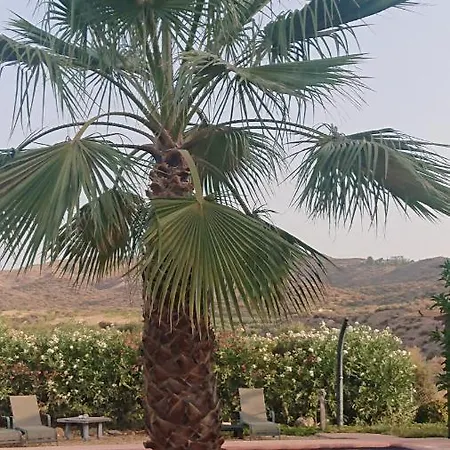 Mas Solana הוארקל-אוברה